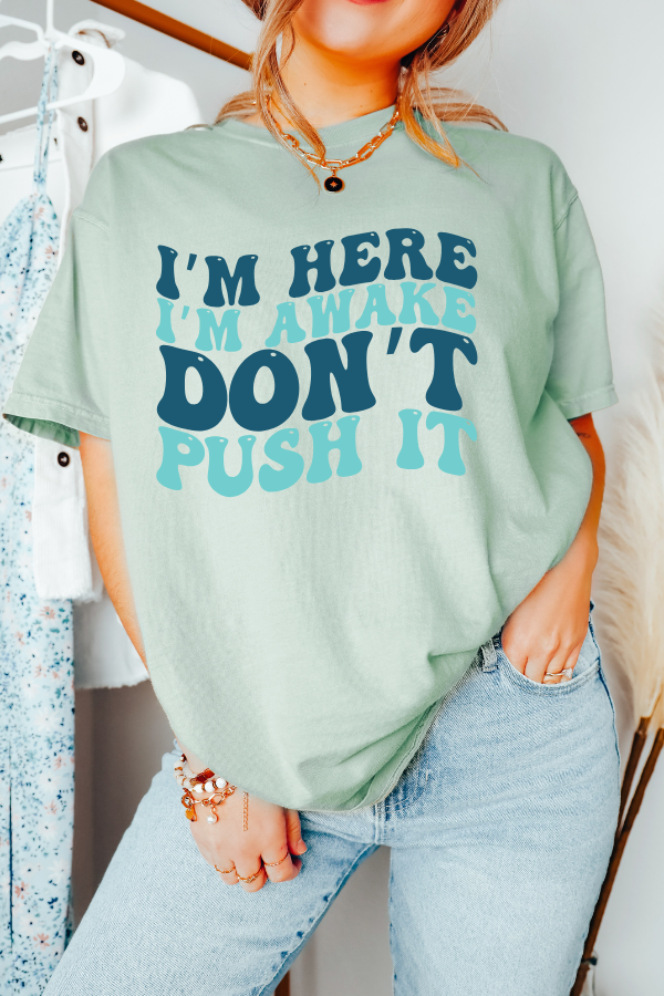 Don't Push It T-Shirt (COMFORT COLORS)