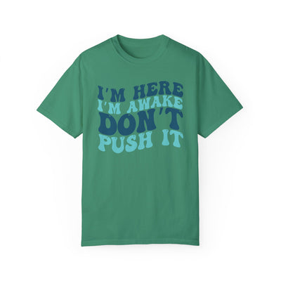 Don't Push It T-Shirt (COMFORT COLORS)