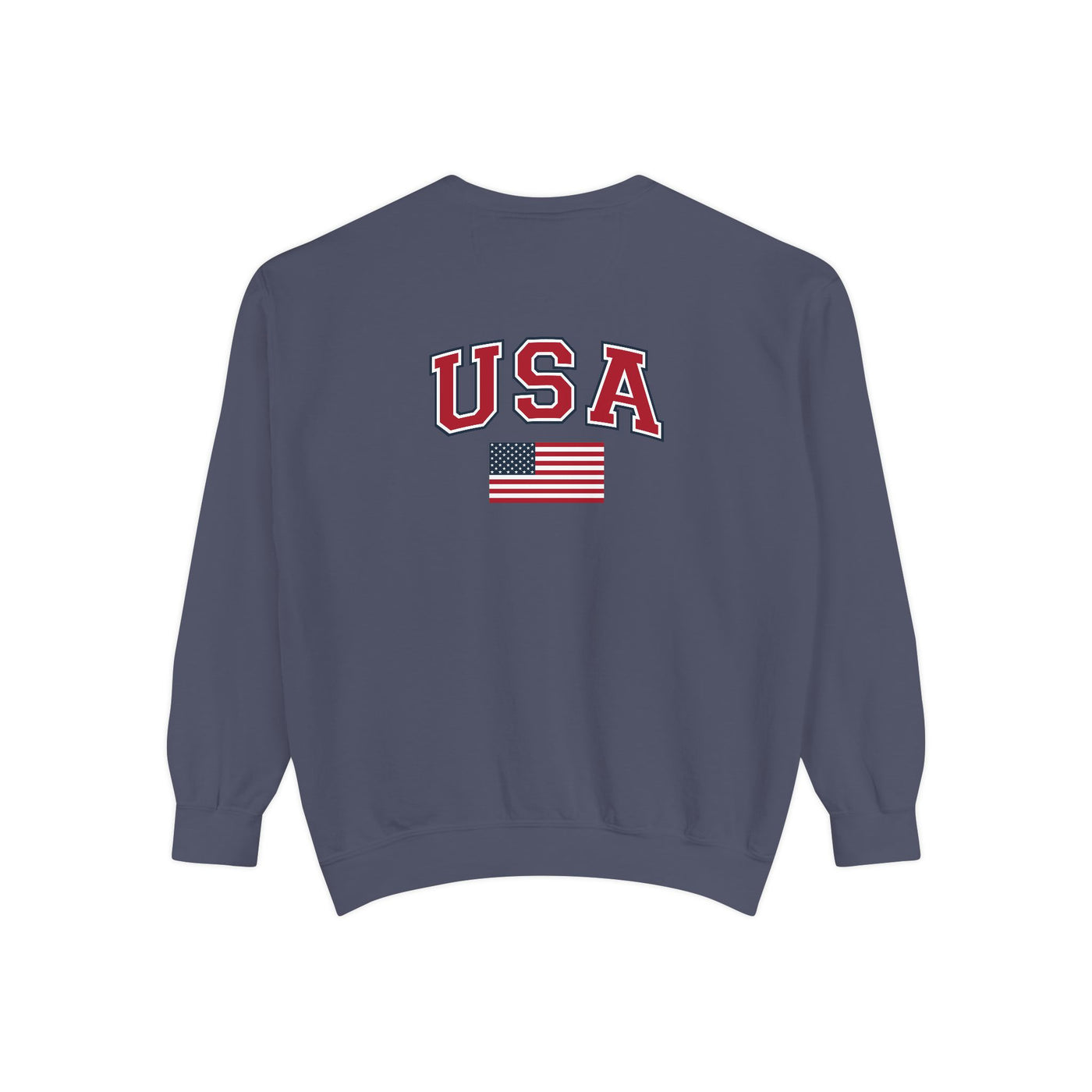 COMMON SENSE REVOLUTION SWEATSHIRT (COMFORT COLORS)