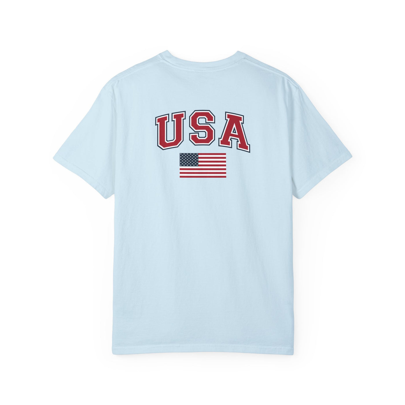 COMMON SENSE REVOLUTION TEE (COMFORT COLORS)